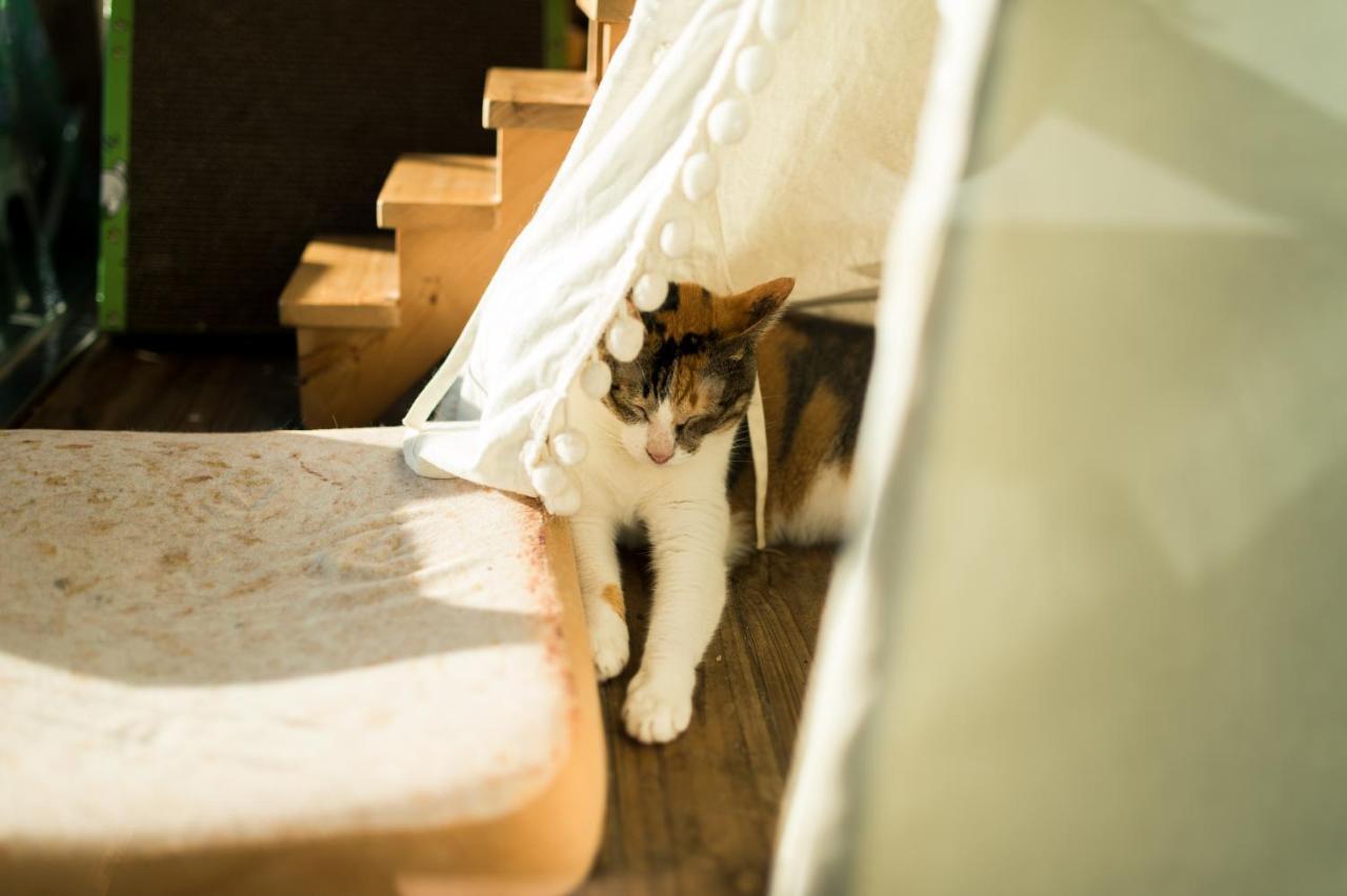 Hello Make Yourself At Home Kenting Esterno foto